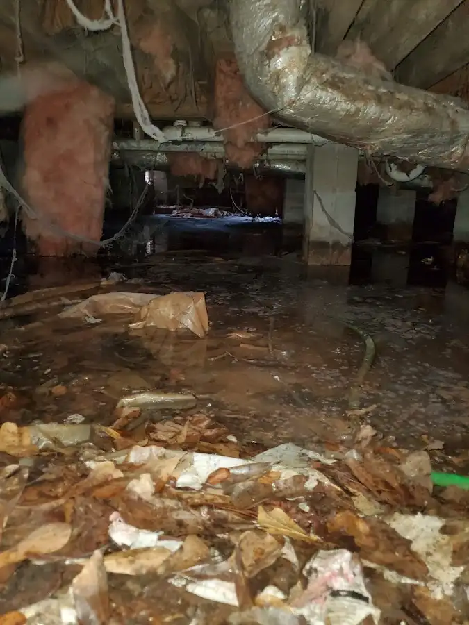 Crawl space flood assessment for Leak Detection & Repair in West Deptford